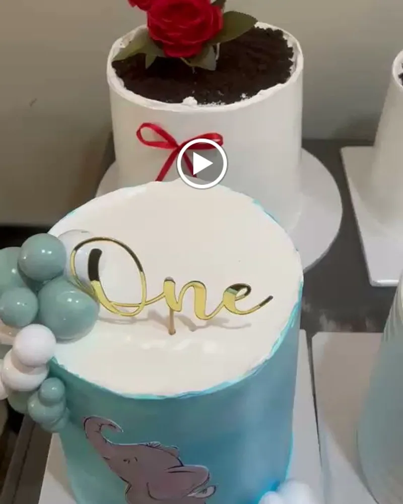 A novelty chocolate cake made to look like a planter with chocolate-crumb soil, made by The Cake Studio Harare